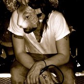 The Bunny The Bear - List pictures