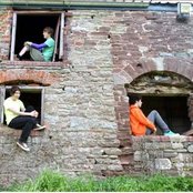 Wombats - List pictures