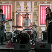 Plants And Animals - List pictures