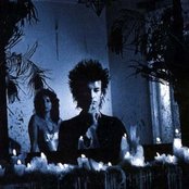 Daniel Ash - List pictures