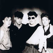 Pale Fountains - List pictures