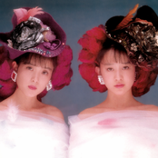 Wink - List pictures