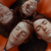 Monkeys - List pictures