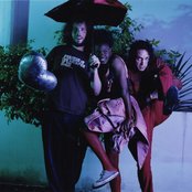 Noisettes - List pictures