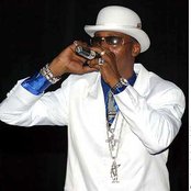 Sanchez - List pictures