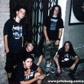 Phobia - List pictures