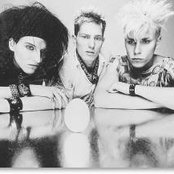 Die Ärzte - List pictures