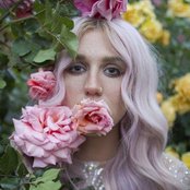 Ke$ha - List pictures