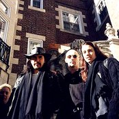 This Ascension - List pictures