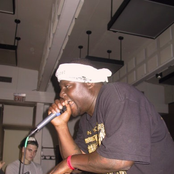 Killah Priest - List pictures