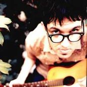 Eels - List pictures