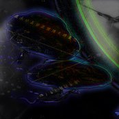 Carbon Based Lifeforms - List pictures