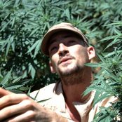 Gentleman - List pictures