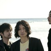 Does - List pictures