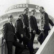 Beach Boys - List pictures