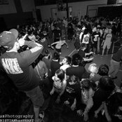 Dynasty - List pictures