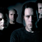 Imperative Reaction - List pictures