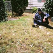 Matthewdavid - List pictures