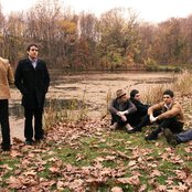 White Rabbits - List pictures