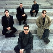 Hair Of The Dog - List pictures