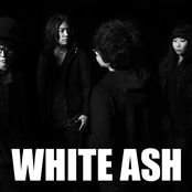 White Ash - List pictures