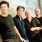 Noir Desir - List pictures