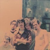 Ornatos Violeta - List pictures