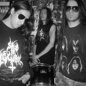 Disgorge - List pictures