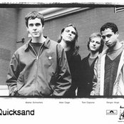 Quicksand - List pictures