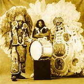 The Wild Magnolias - List pictures