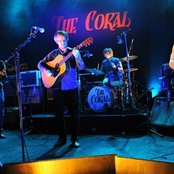 The Coral - List pictures