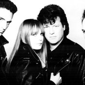 Tom Tom Club - List pictures