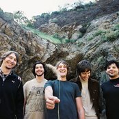 Kaddisfly - List pictures