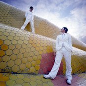 The Pinker Tones - List pictures