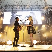 The Common Linnets - List pictures