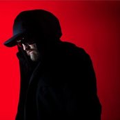 The Bug - List pictures