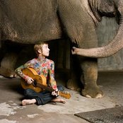 Trevor Hall - List pictures