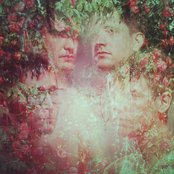 Strfkr - List pictures