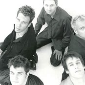 Cool For August - List pictures