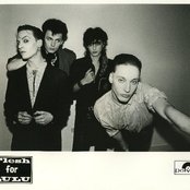 Flesh For Lulu - List pictures