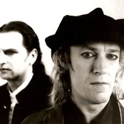 Big Electric Cat - List pictures