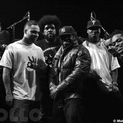 The Roots - List pictures