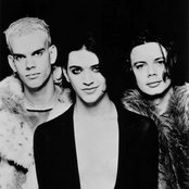 Placebo - List pictures