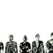 Foxing - List pictures