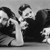 New Order - List pictures