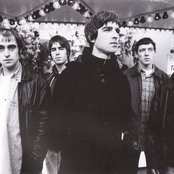Oasis - List pictures