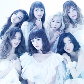 Flower - List pictures