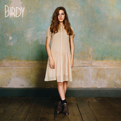 Birdy - List pictures