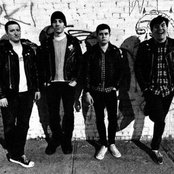 Night Birds - List pictures