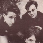 Lemonheads - List pictures